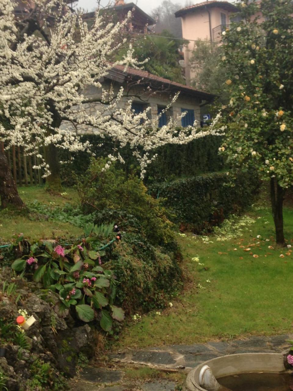 Villa Maria Lago Maggiore Reno Di Leggiuno Luaran gambar